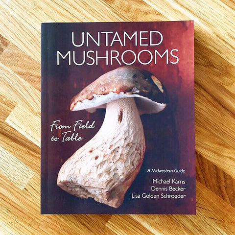 Untamed Mushrooms Forest Fair